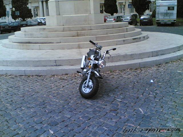 Photo 590469