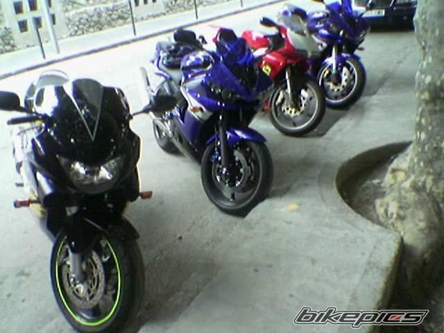 Photo 597433