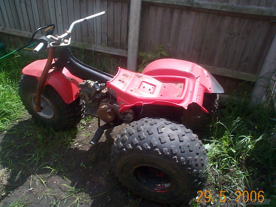 Photo 598362