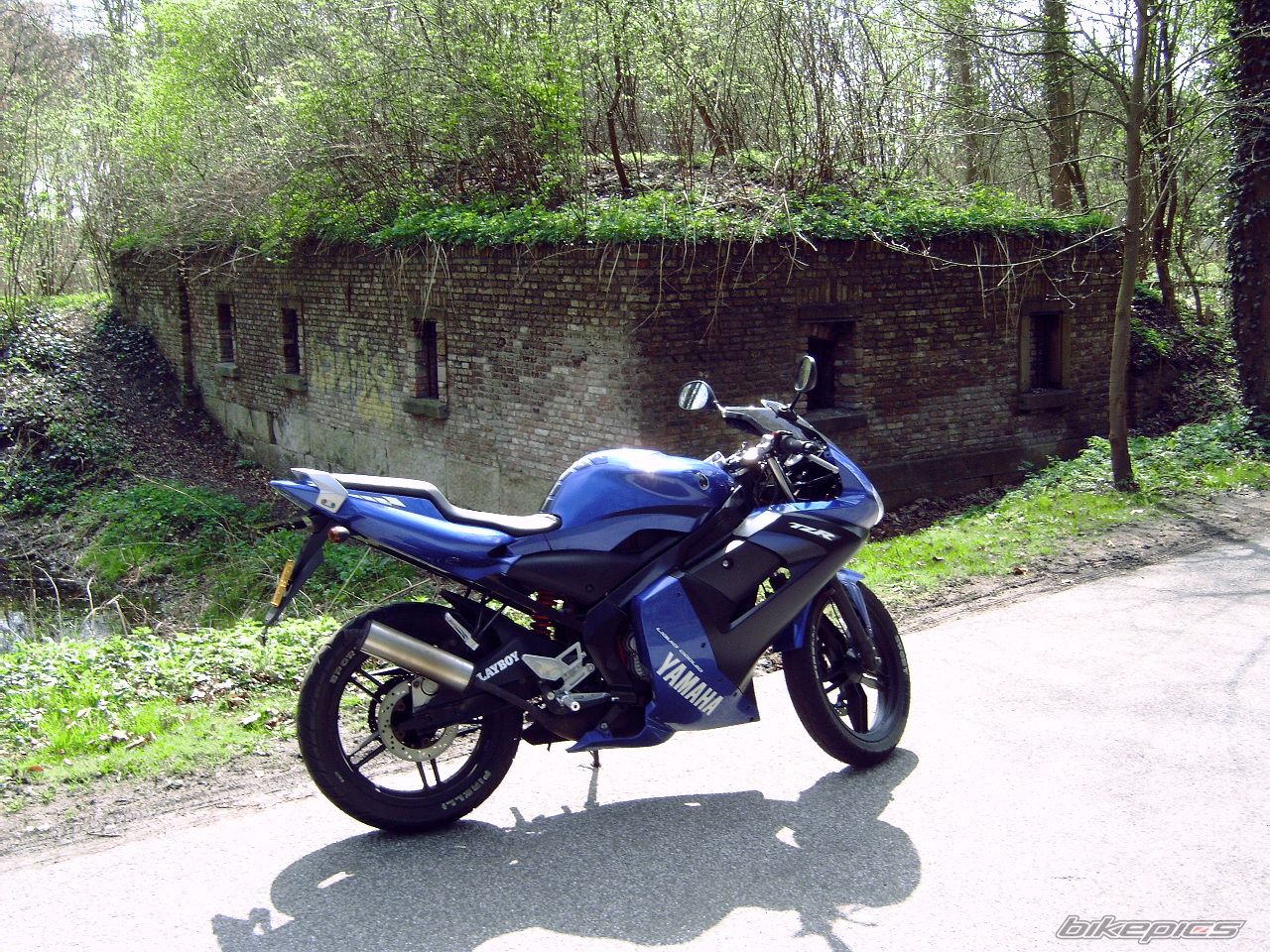 Bike Photo 606823