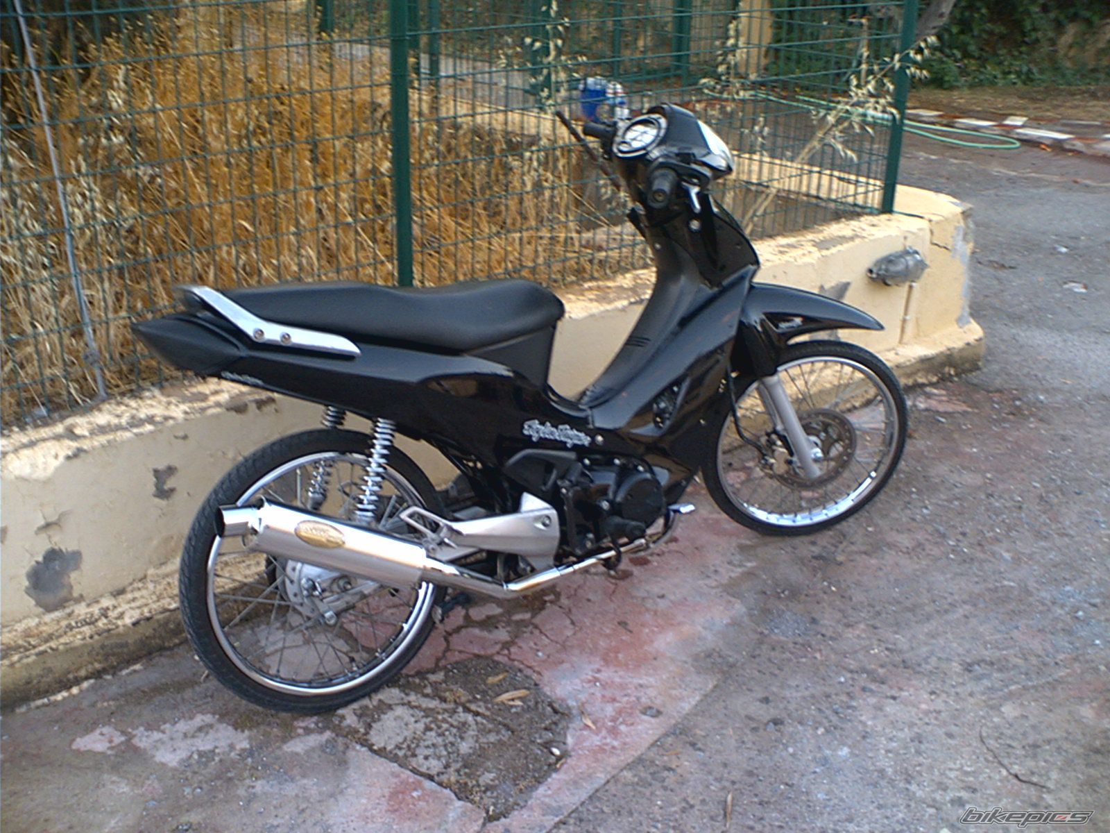 Photo 609328