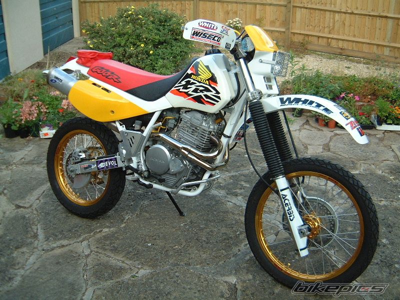Bike Photo 615998