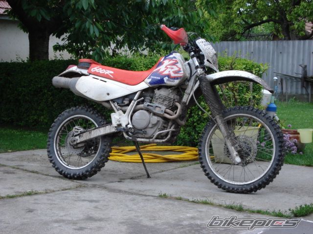 Bike Photo 619424