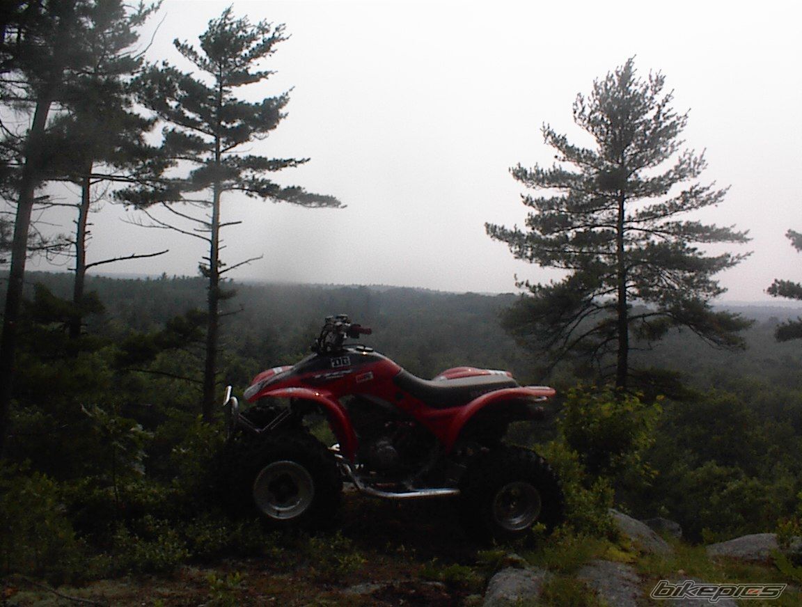 Photo 622446