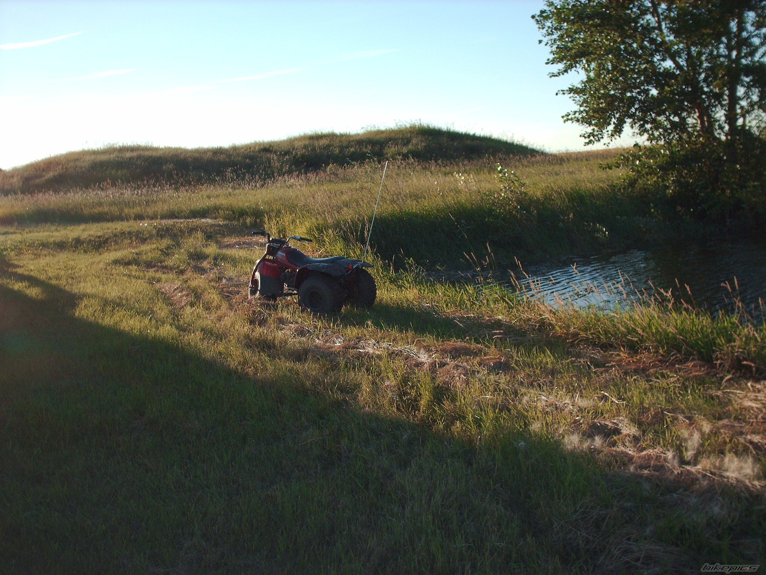 Photo 630143