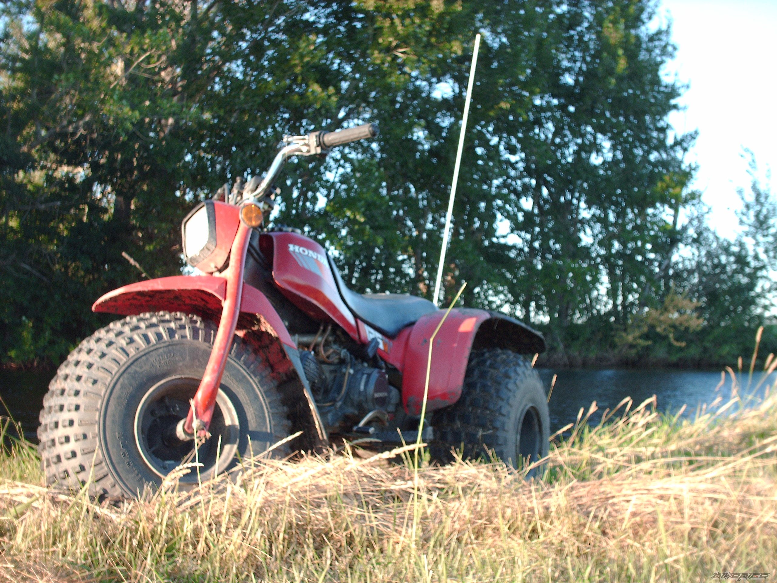 Photo 630145