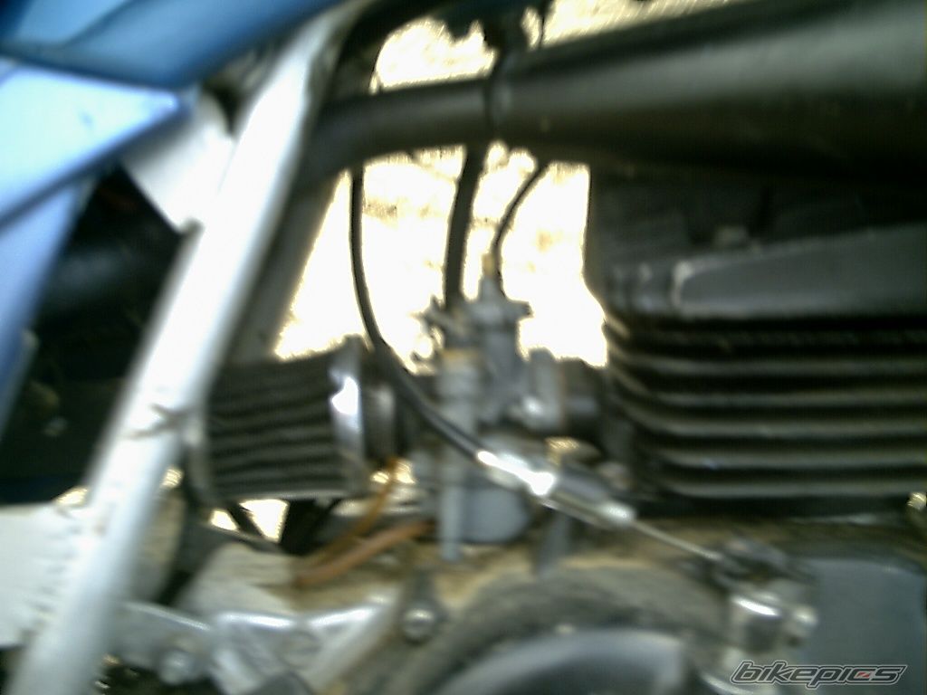 Photo 636972
