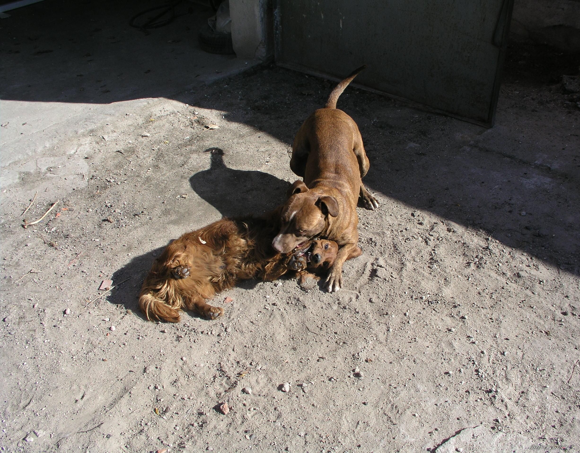 Photo 638632