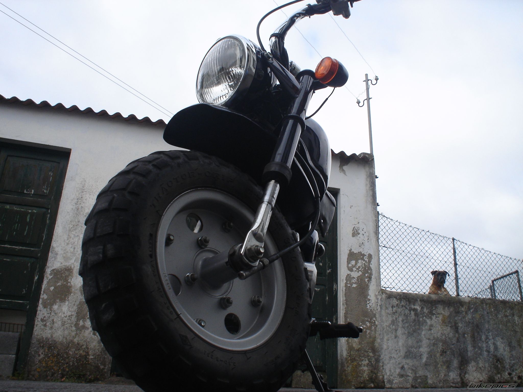 Photo 638842