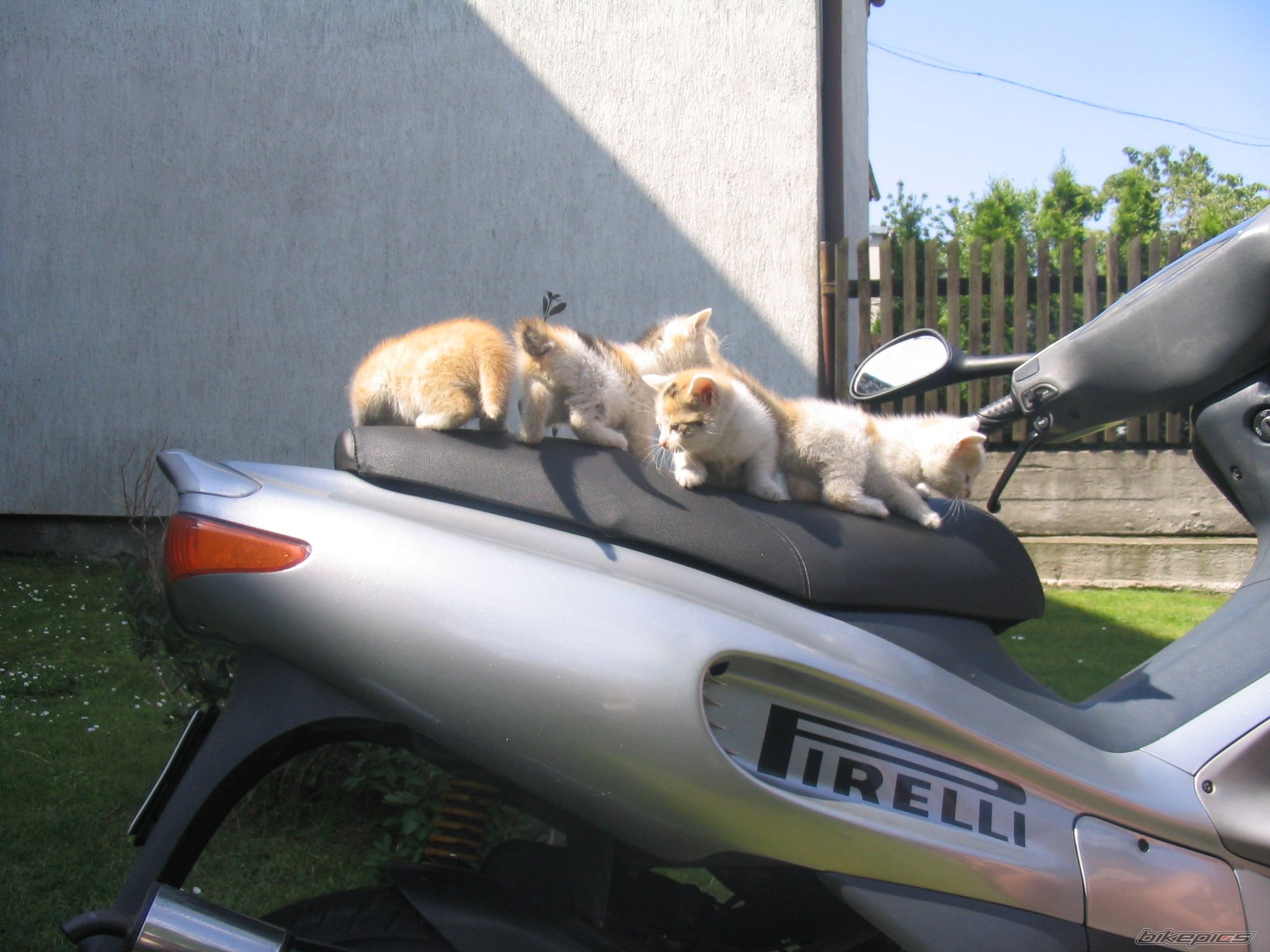 Bike Photo 639422