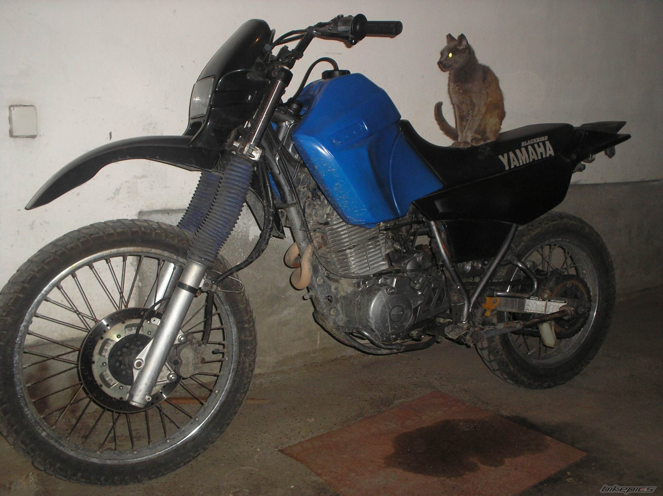 Bike Photo 659537