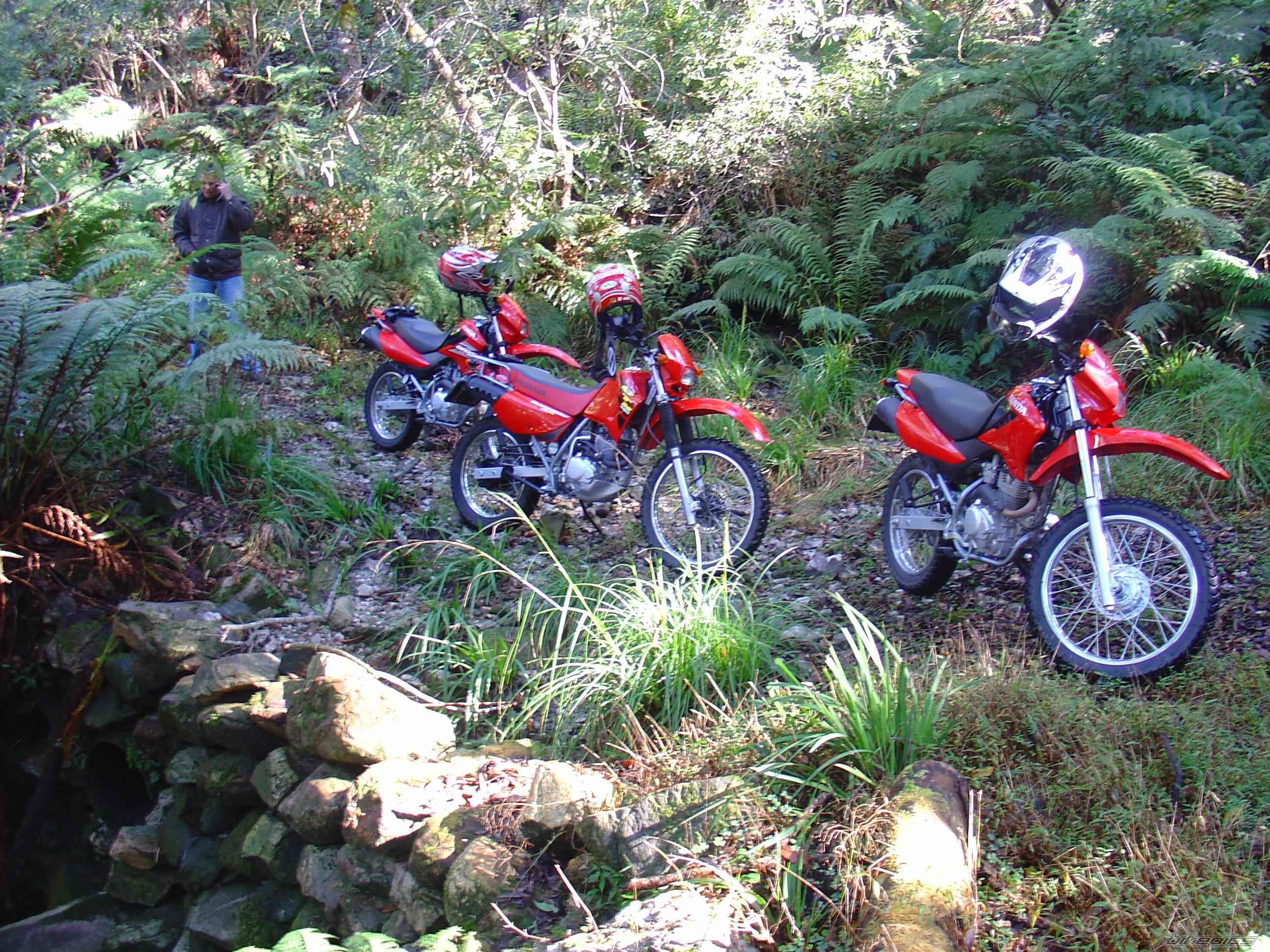 Bike Photo 677314