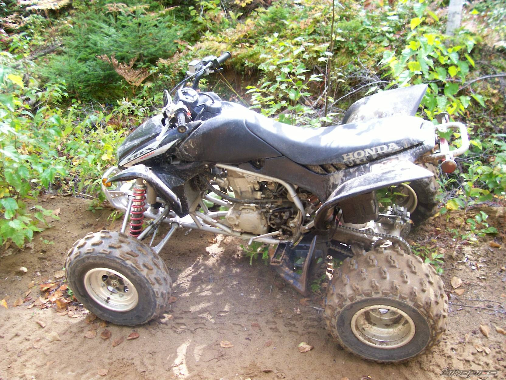 Photo 677928