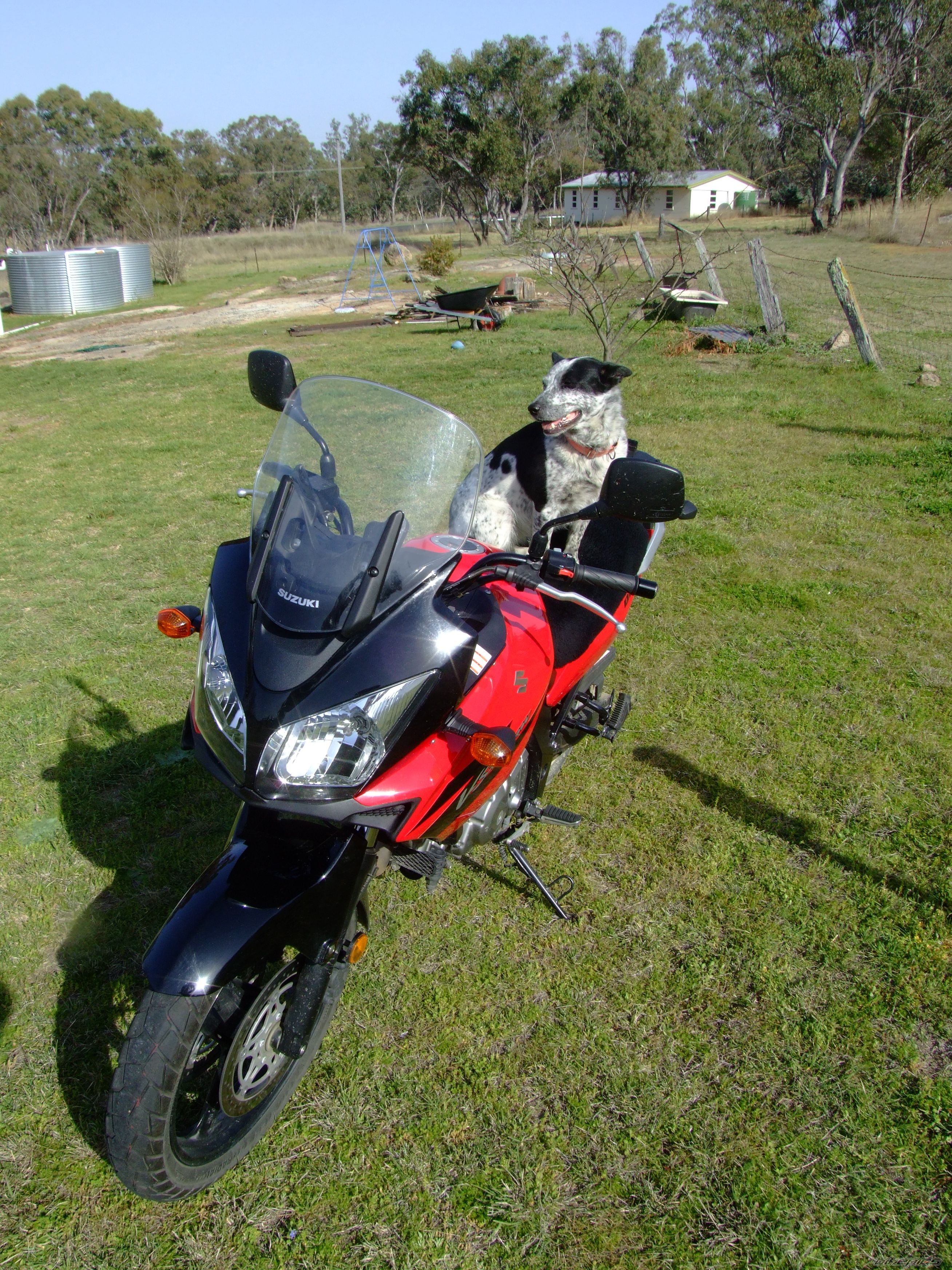 Photo 685201
