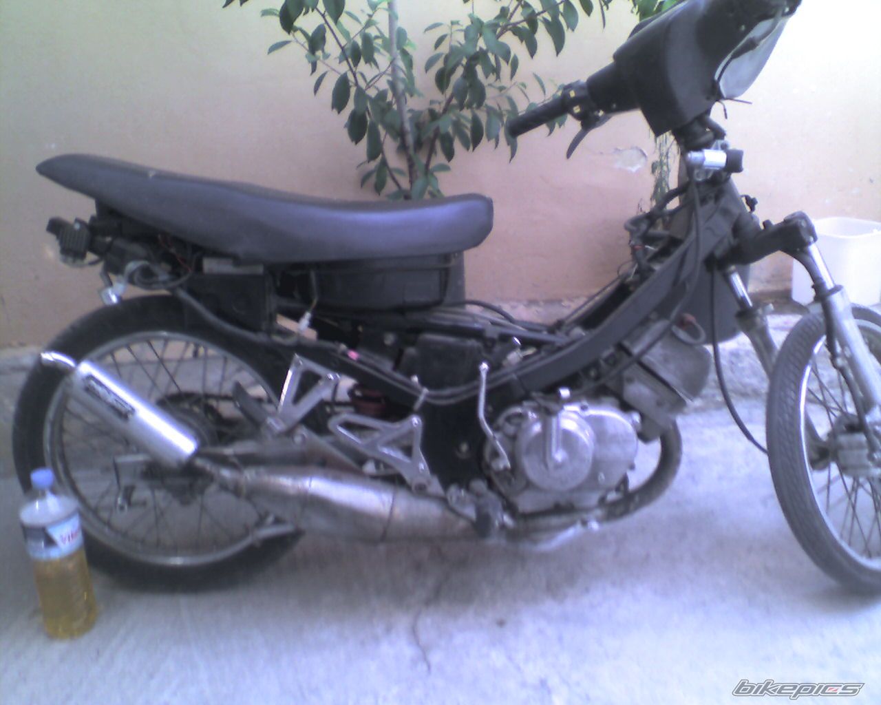 Photo 693385