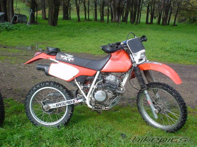 Bike Photo 71681