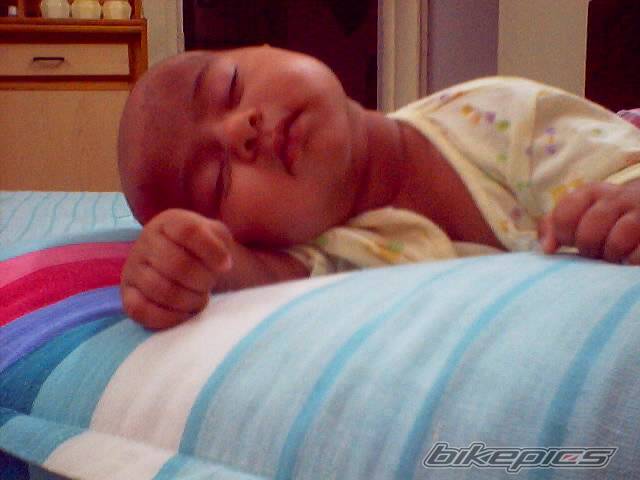Photo 71924