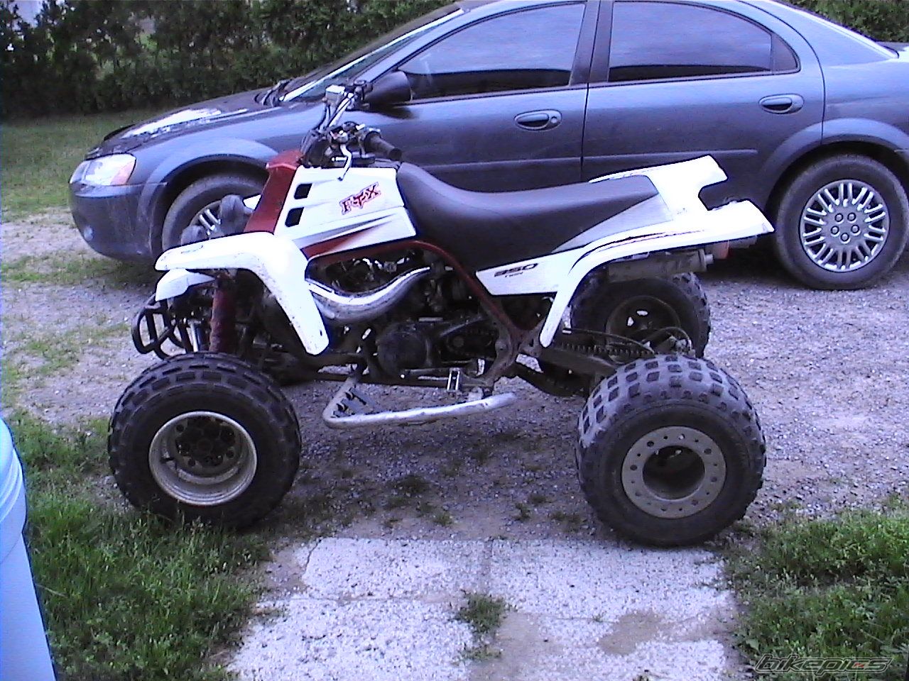 Photo 719370