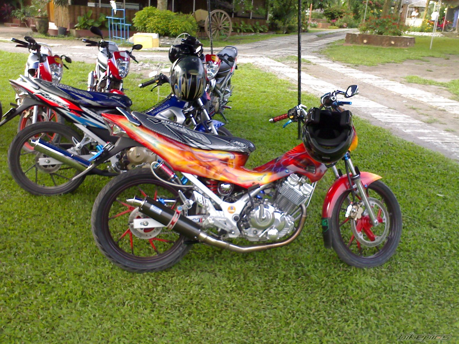 Photo 730629