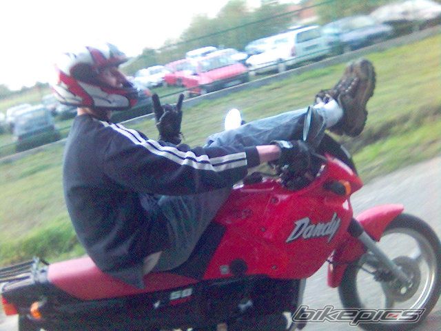 Photo 732159
