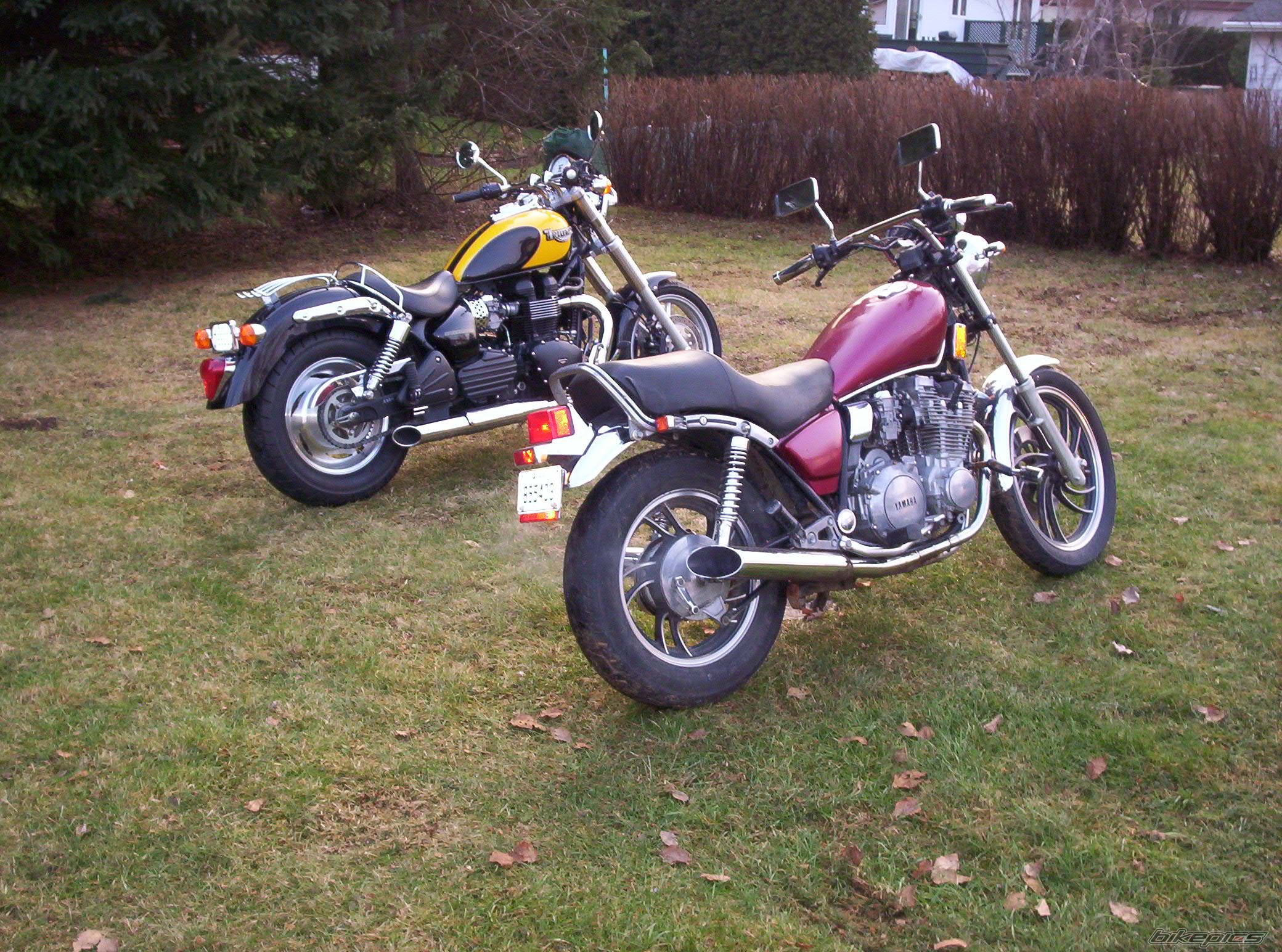 Photo 732985