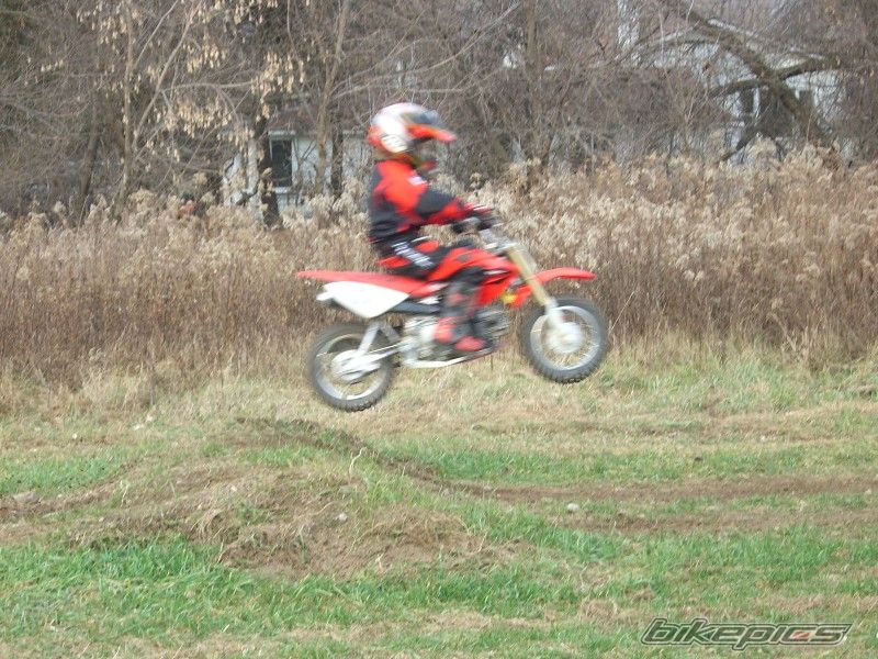 Photo 733688