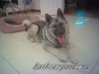 Photo 733762