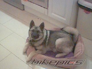 Photo 733763