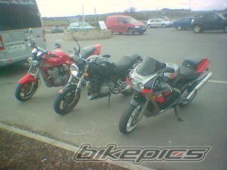 Photo 733782
