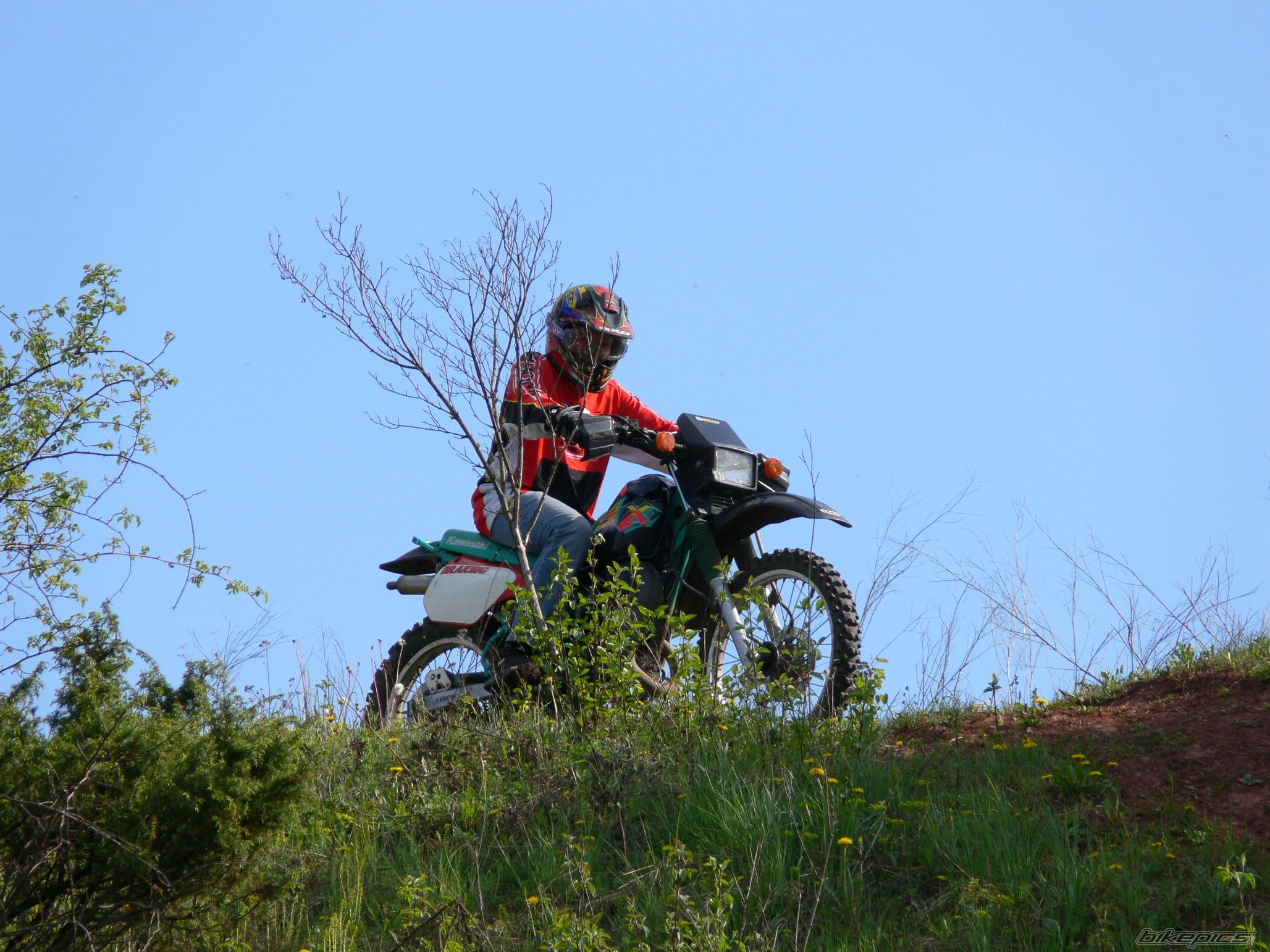 Bike Photo 735332
