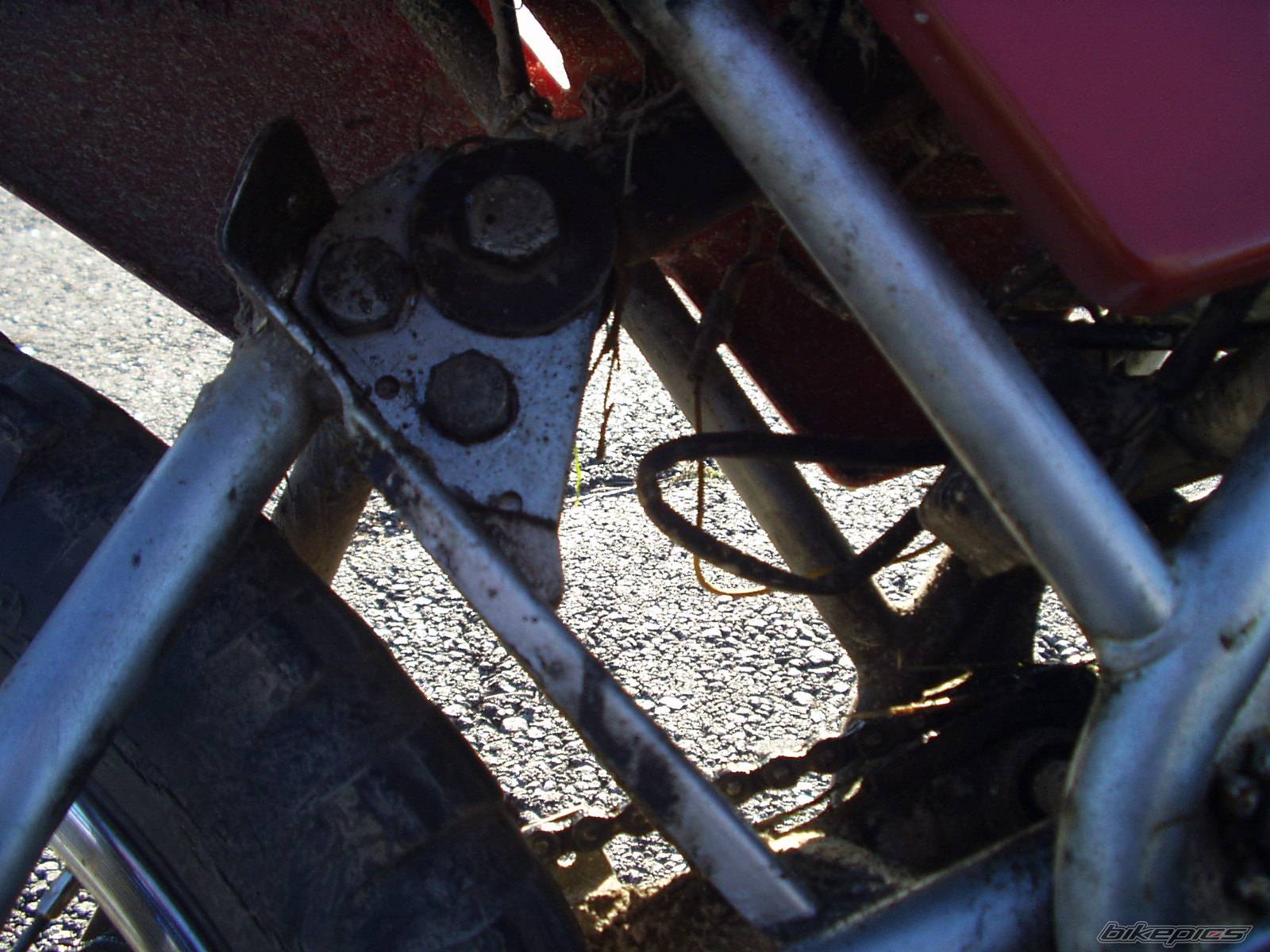 Photo 73743