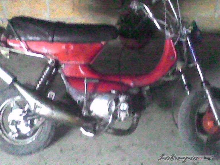 Photo 737659