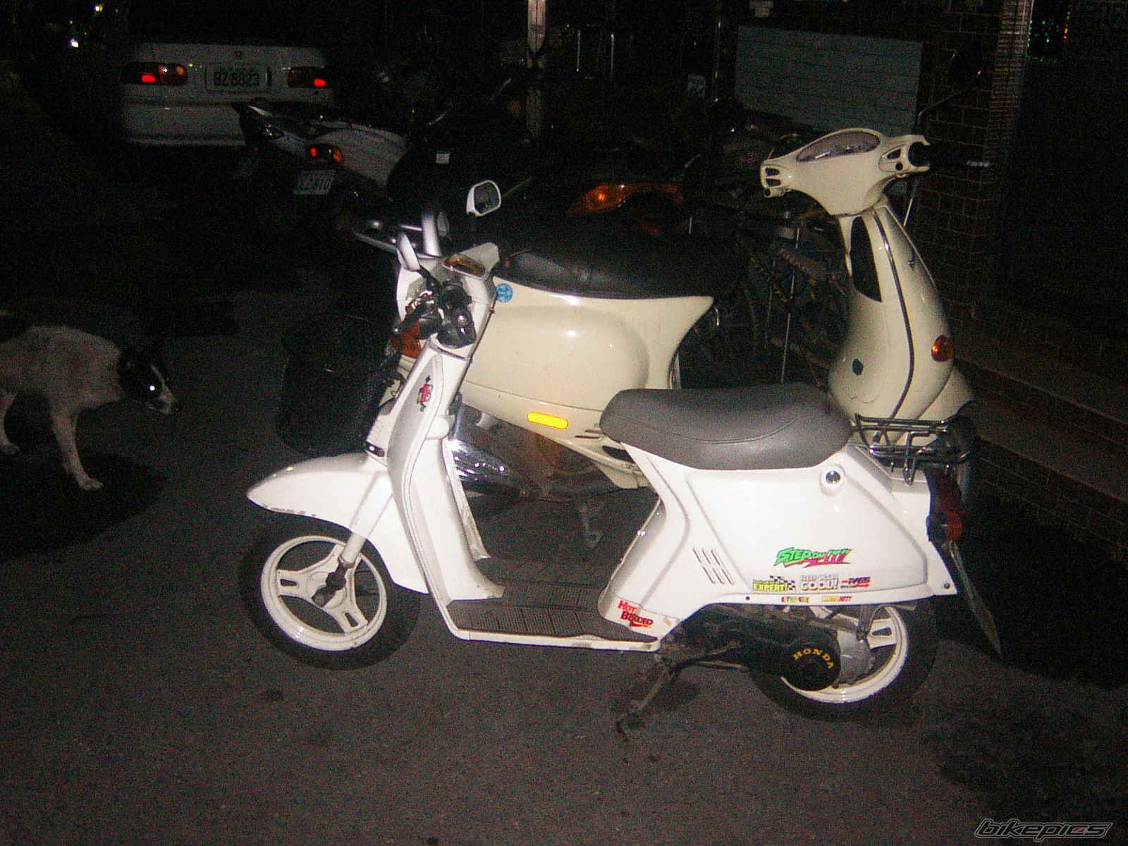 Photo 740891