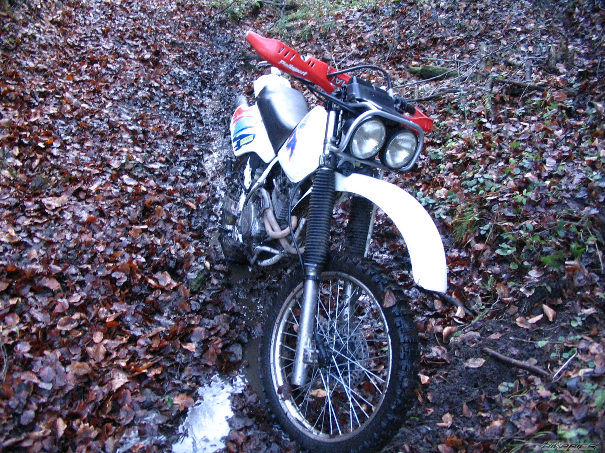Bike Photo 742954