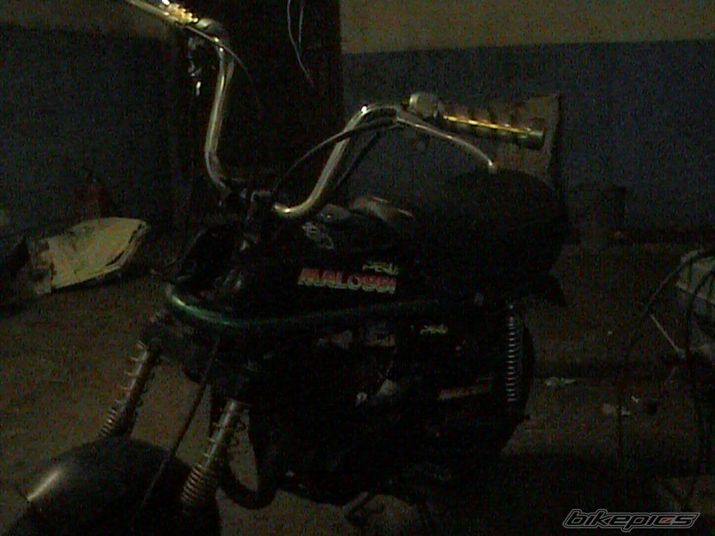 Photo 746610