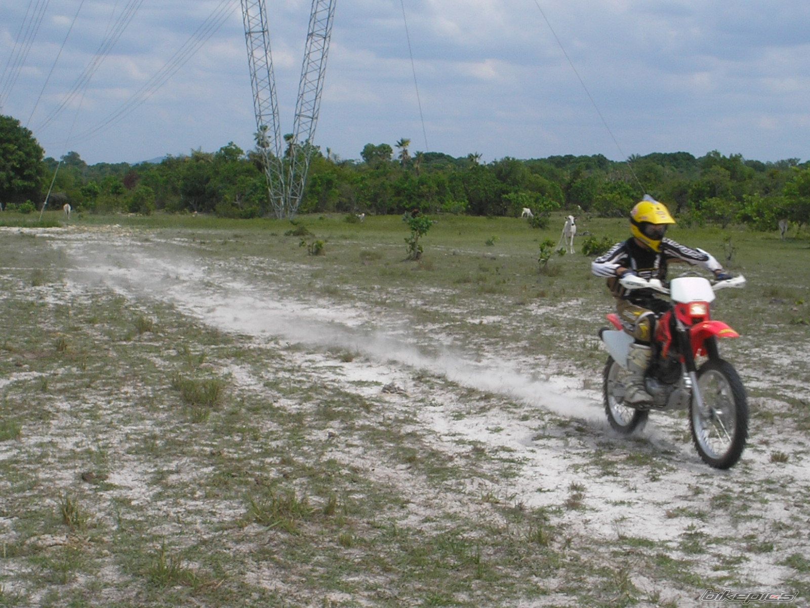 Bike Photo 753943