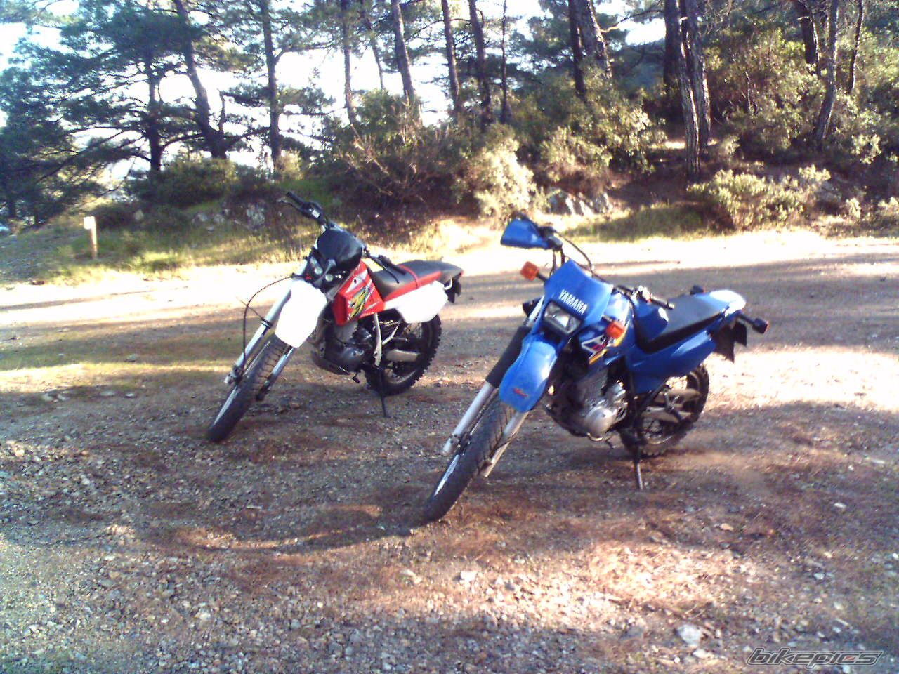 Photo 756099