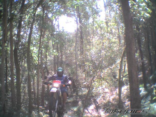Bike Photo 76152