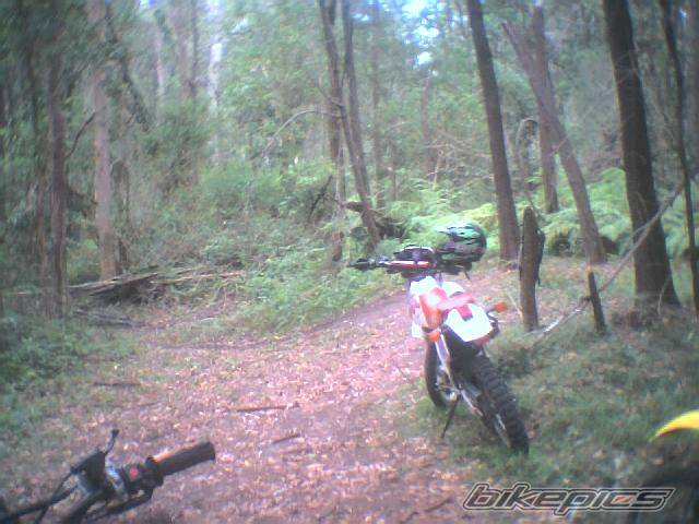 Bike Photo 76153