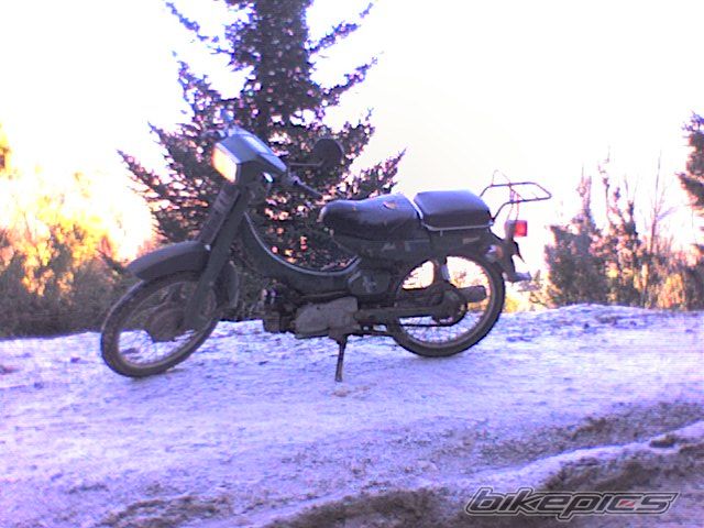 Autolube 50
