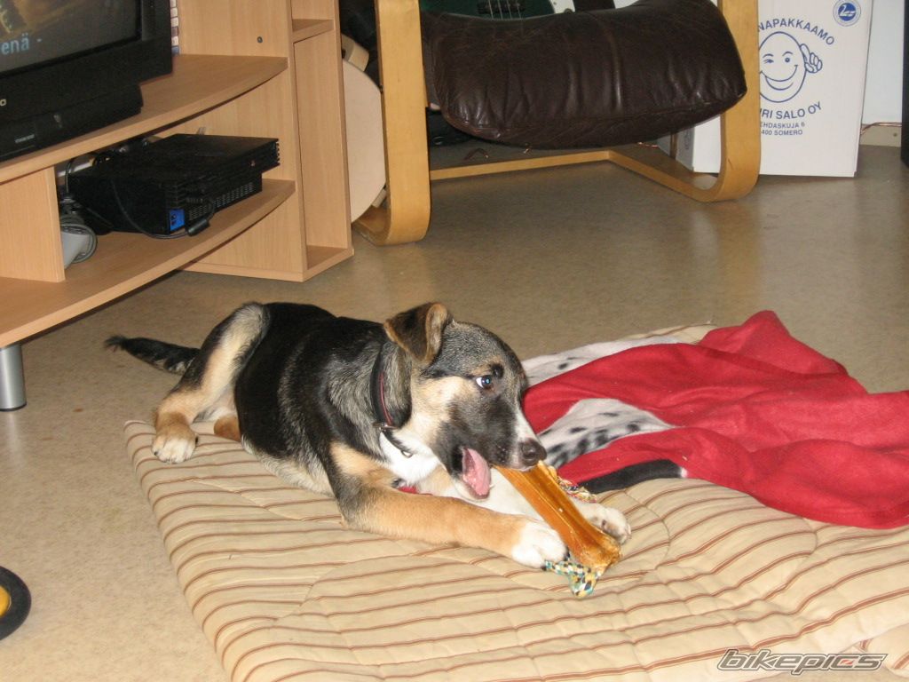 Photo 766763