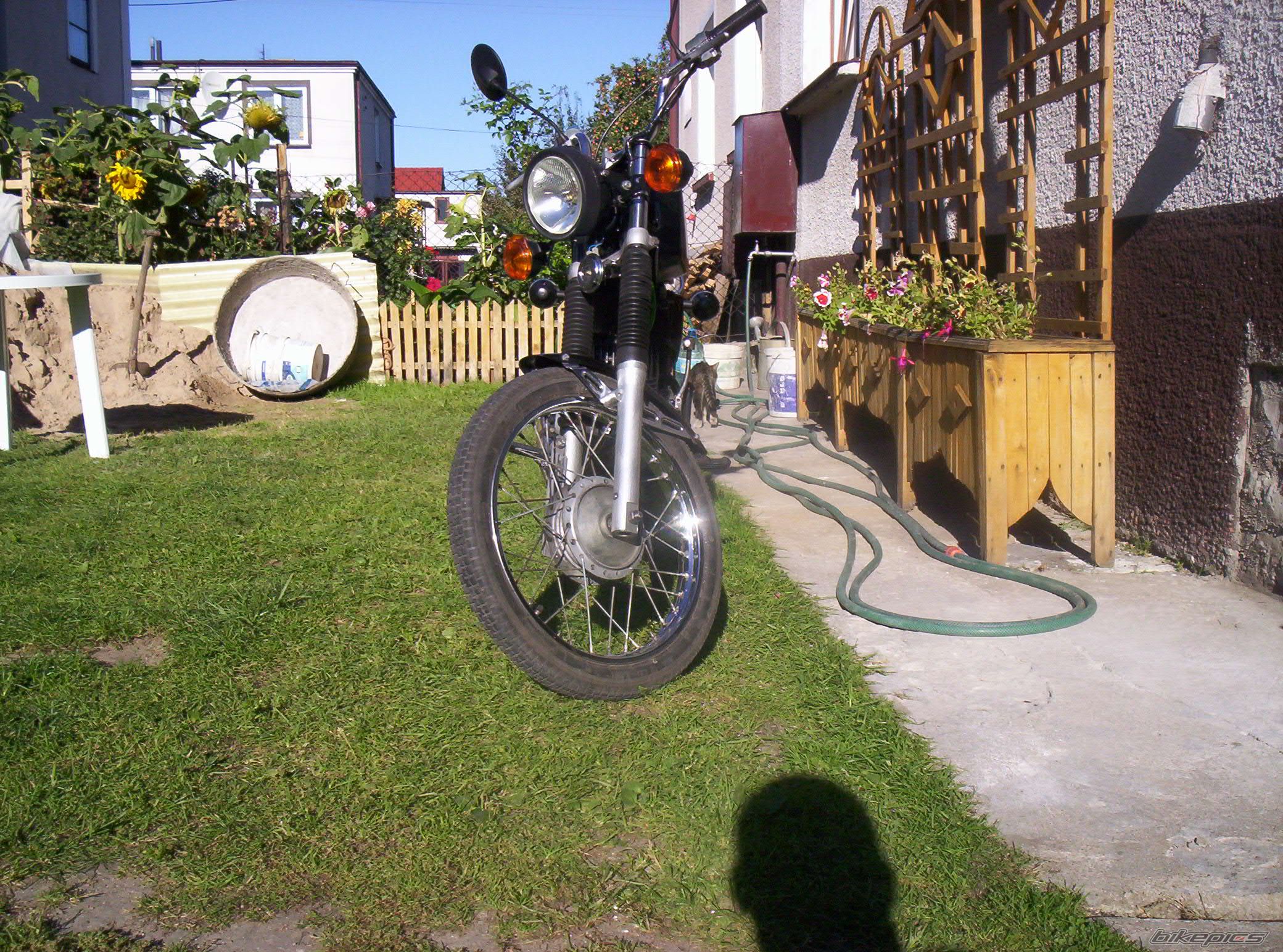 Photo 768088