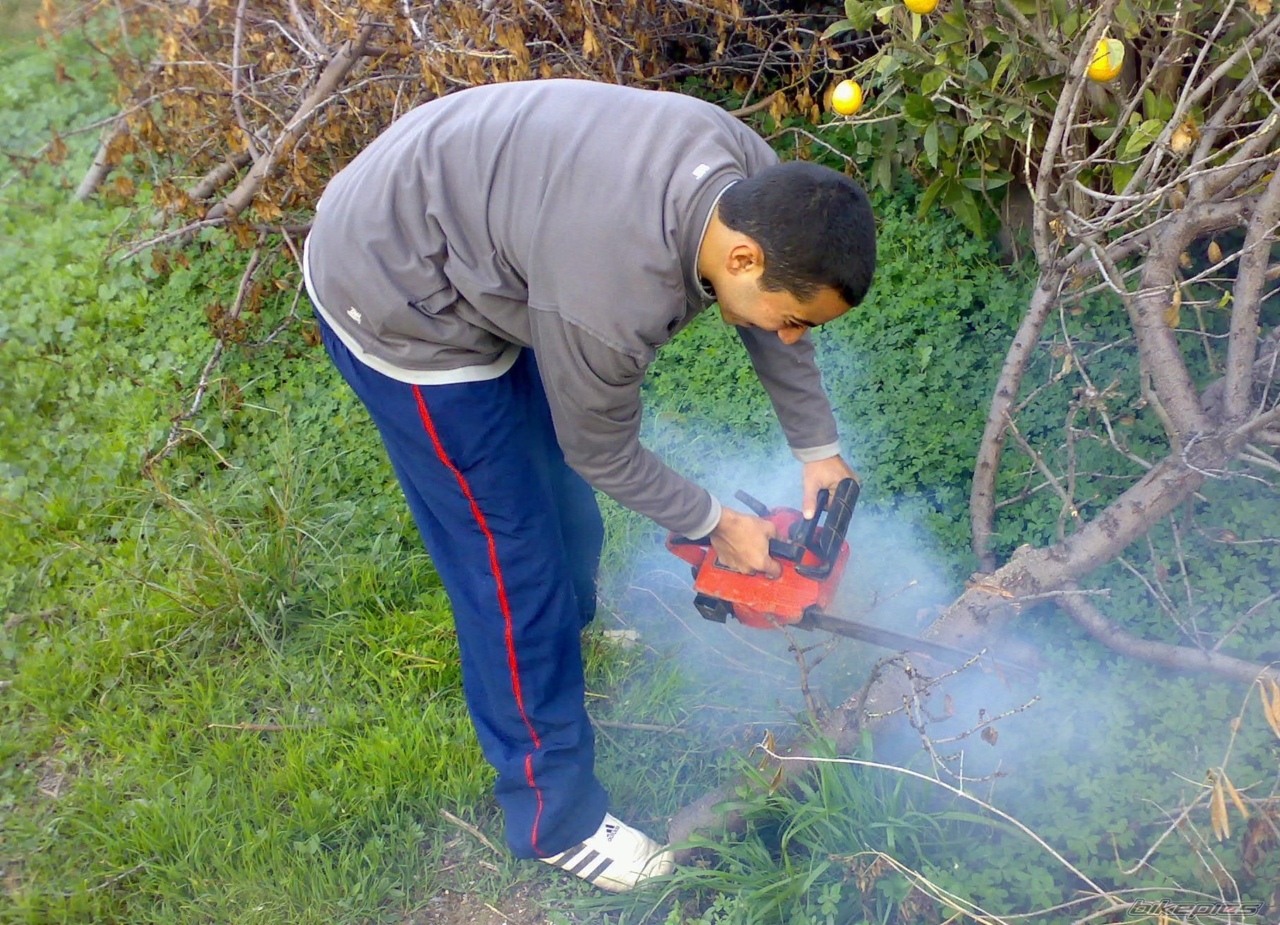 Photo 768106