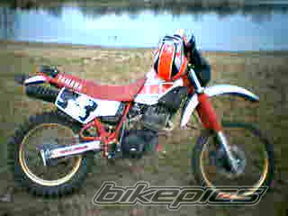 Photo 768727