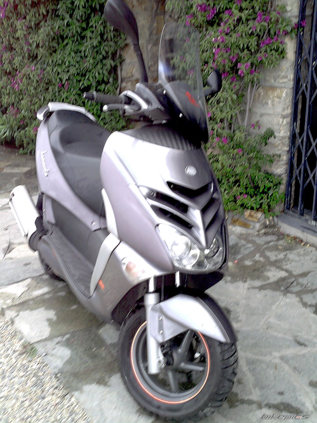 Photo 768834