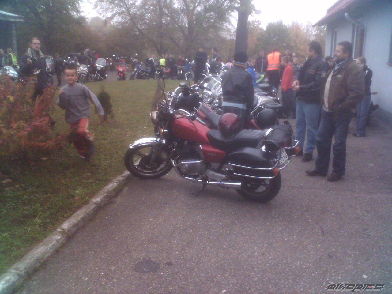 Photo 771232