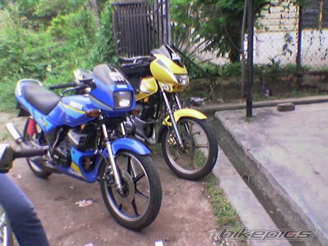 Photo 773792