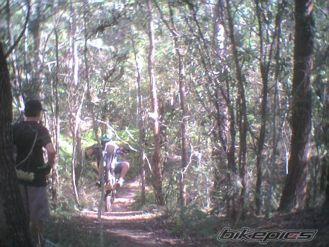 Bike Photo 77528
