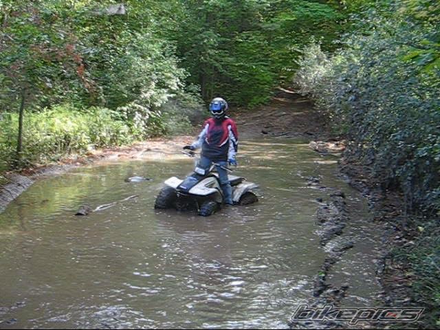 Photo 775324