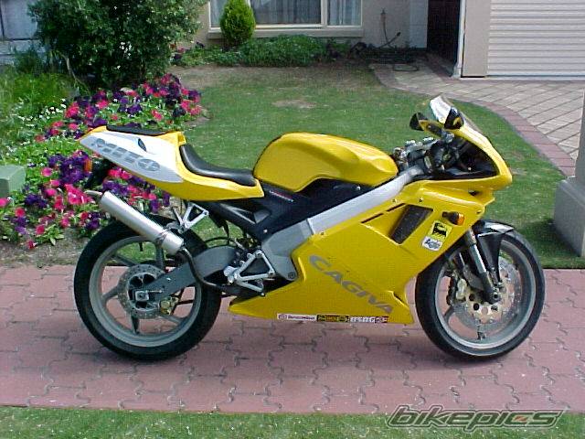 Photo 77767